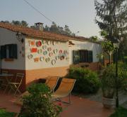 Top Albergaria-a-Velha