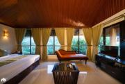 Top Wayanad