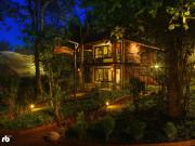 Top Wayanad
