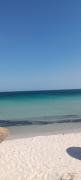 Top Kelibia