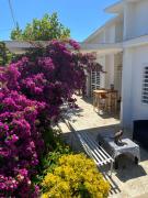 Il Platano di Nathaly