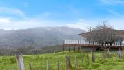 Top Mittagong