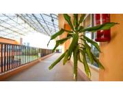 Top Nairobi Top Nairobi