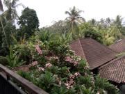 Top Ubud