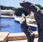 RunWild Hen Party Pool Fun for 12