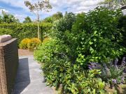 Vakantiehuis “Het Zeepaard”