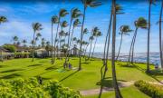 Top Koloa