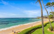 Top Koloa