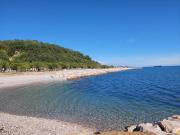 Top Koper