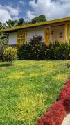 Top Jardin