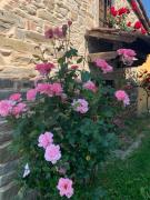 Top Barberino di Mugello