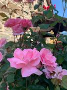 Top Barberino di Mugello