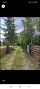 Top Borzont