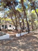 Top San Domino Top San Domino