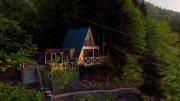 Forest House