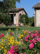 Top San Gimignano