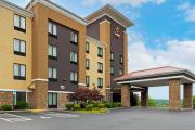 Top Kingsport