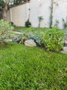 Top Tirana Top Tirana