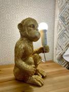 Top Chiclana de la Frontera