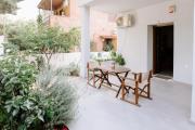 Pine trees 55 Pine trees 55