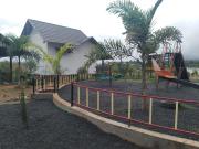 Top Wayanad