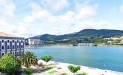 Top Viveiro