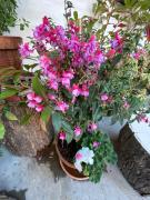 Great rooms in an uber cool flat! London Bridge Great rooms in an uber cool flat! London Bridge