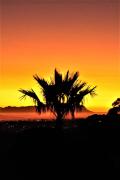 Top Somerset West