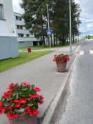 Top Püssi Top Püssi