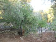 Top Francavilla Fontana