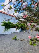 Top Santiago do Cacém