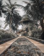 The Living Room Siargao