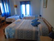 Top Todi