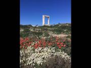 Top Naxos Chora