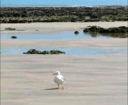 Top Saint-Valéry-en-Caux