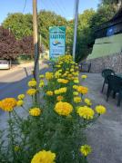 Top Star Dojran