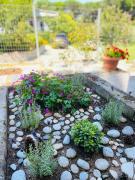 Top Paleo Tsifliki Top Paleo Tsifliki