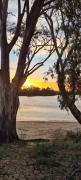 Top Renmark