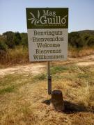 Top San Quintín de Mediona