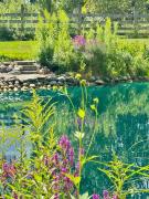 Top Canandaigua