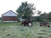 Top Barkowice