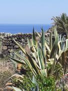 Top Pantelleria