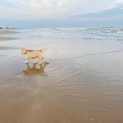 Top Cha Am Beach