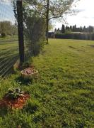 ZöldPortál Vendégház Tiszanána -Dinnyéshát