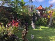 Top Ubud Top Ubud