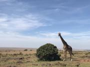 Top Musiara Campsite