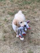 Top Le Viviers-du-Lac