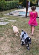 Top Le Viviers-du-Lac