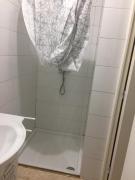 Top Lacaune Top Lacaune