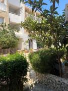 Top Paralimni